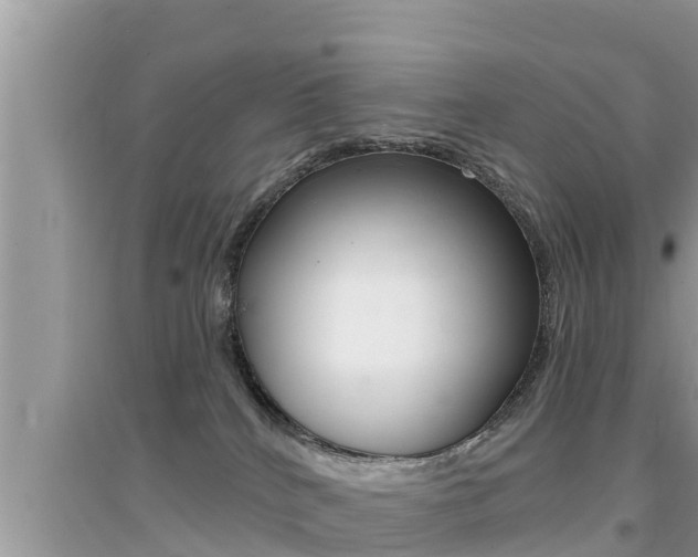 X0000095110040200712070929