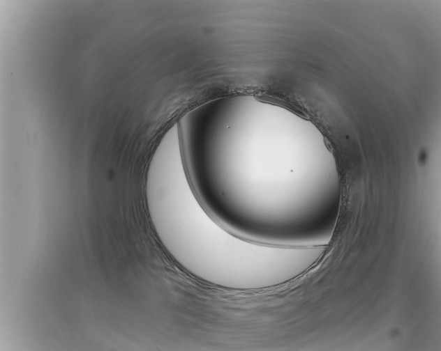 X0000095110041200712070929