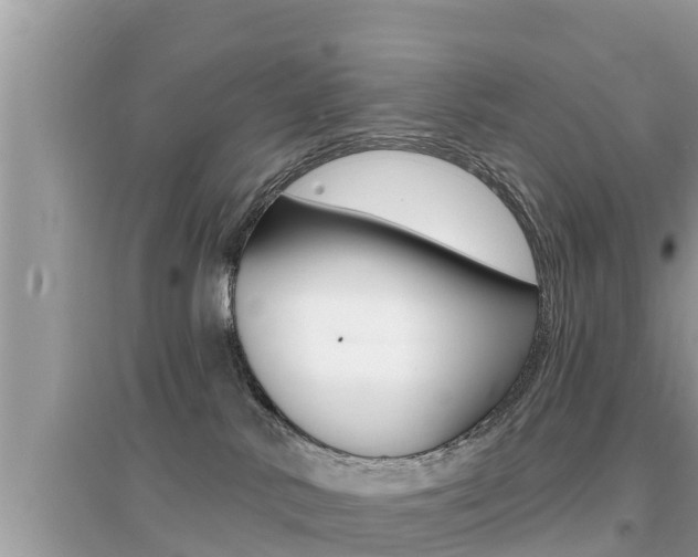X0000095110042200712070929