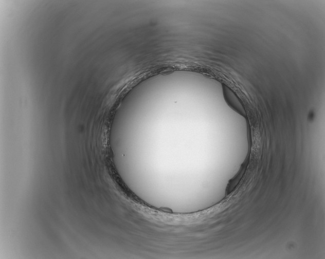 X0000095110043200712070929