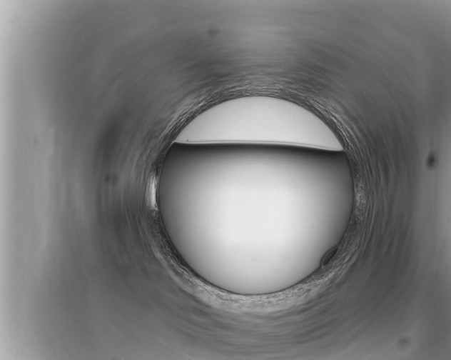 X0000095110046200712070929