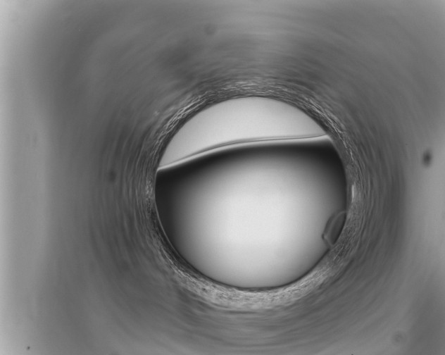 X0000095110048200712070929