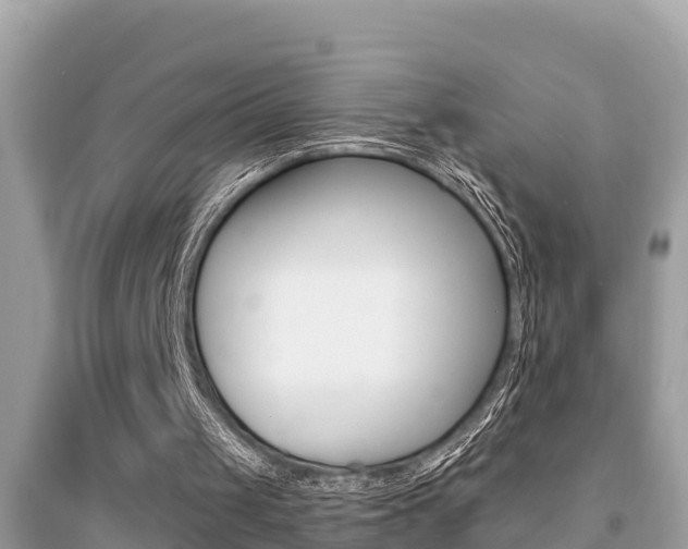 X0000095110049200712070929