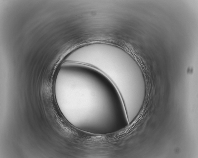 X0000095110050200712070929
