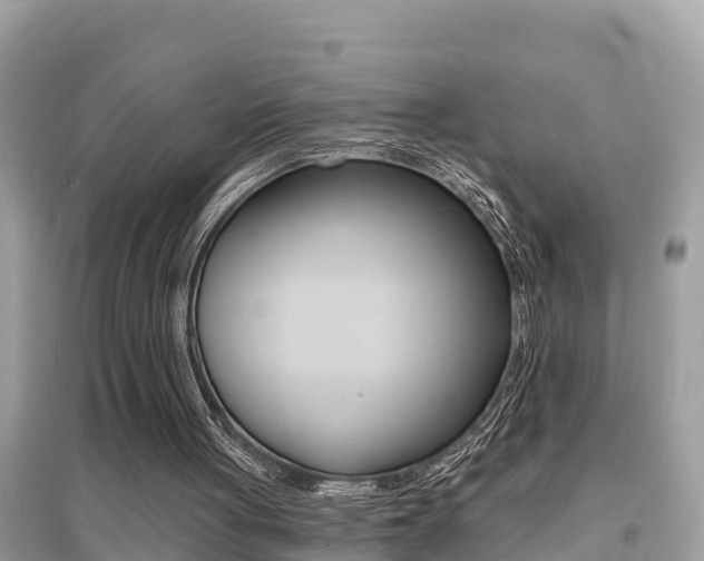 X0000095110051200712070929