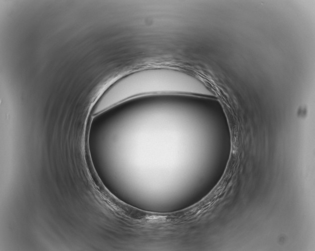 X0000095110052200712070929