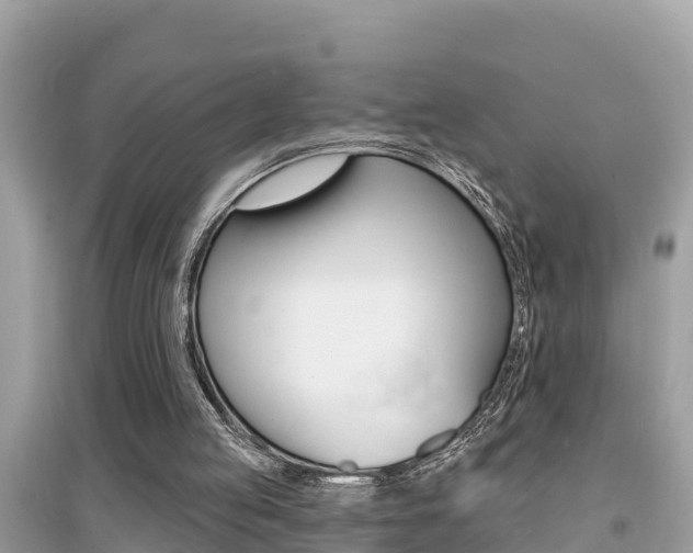 X0000095110053200712070929
