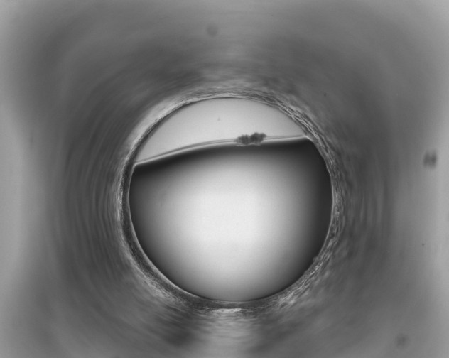 X0000095110054200712070929