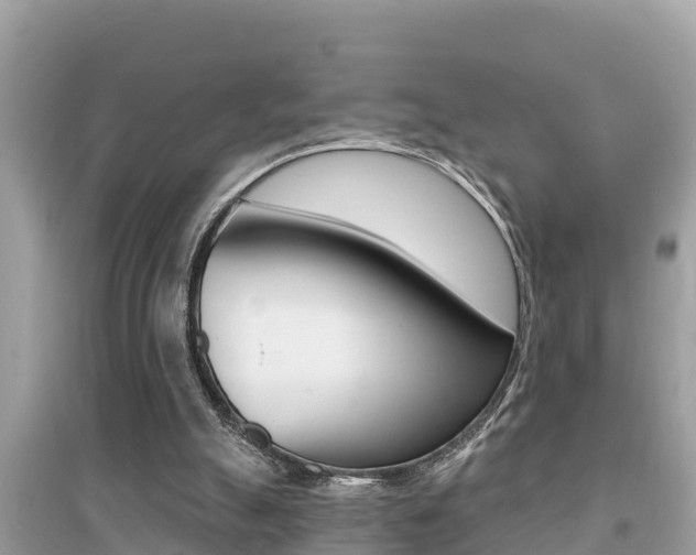 X0000095110055200712070929