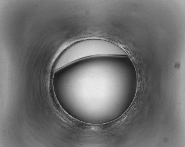 X0000095110056200712070929