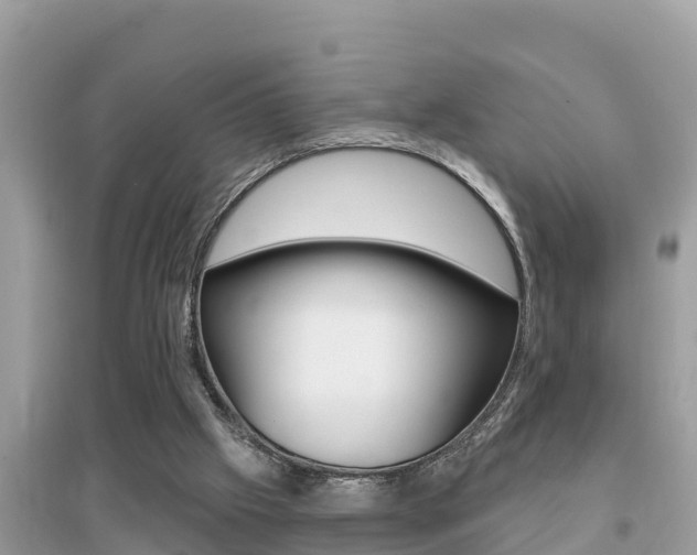 X0000095110057200712070929