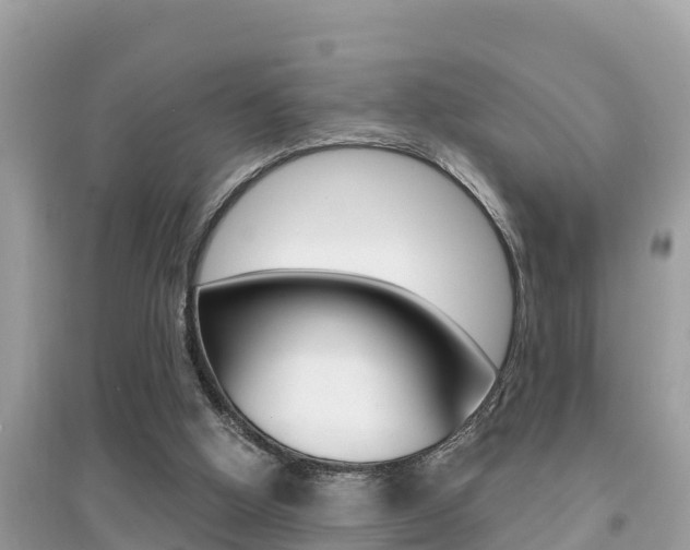 X0000095110058200712070929