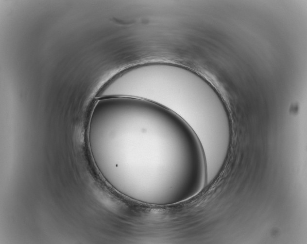 X0000095110060200712070929