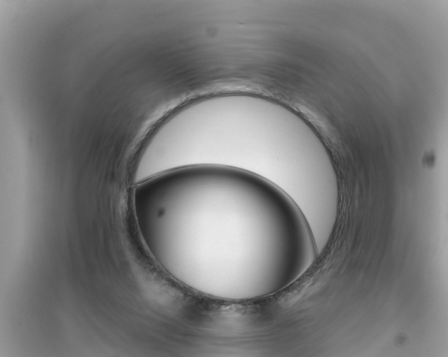 X0000095110064200712070929