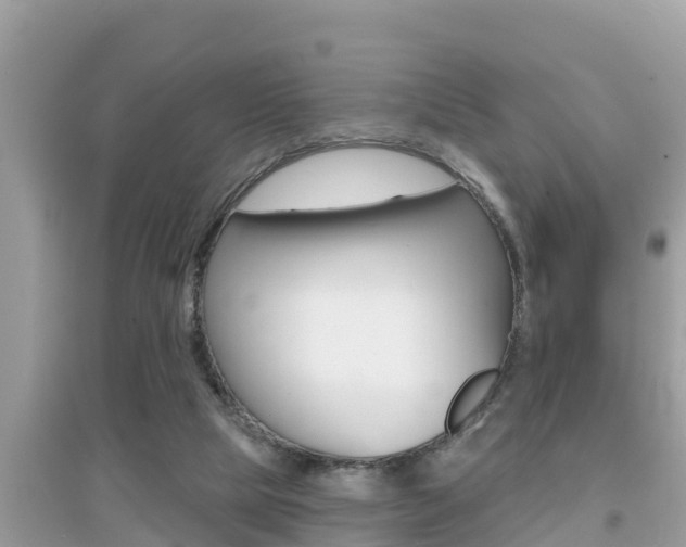 X0000095110065200712070929