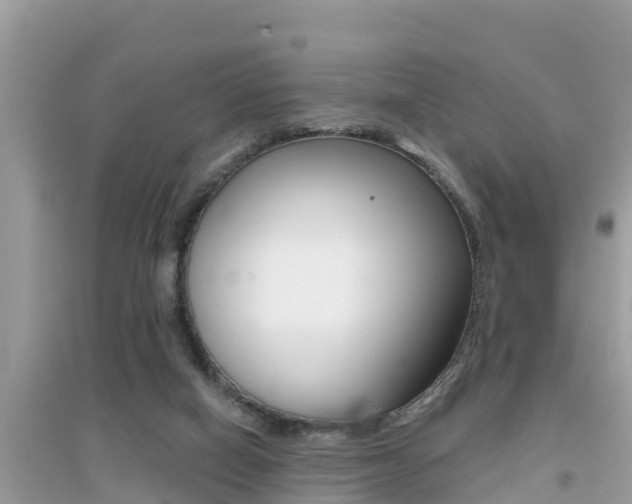 X0000095110066200712070929