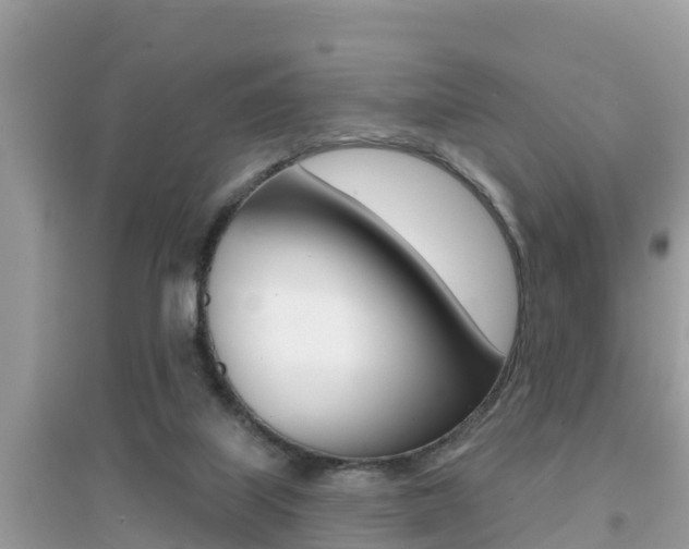 X0000095110067200712070929