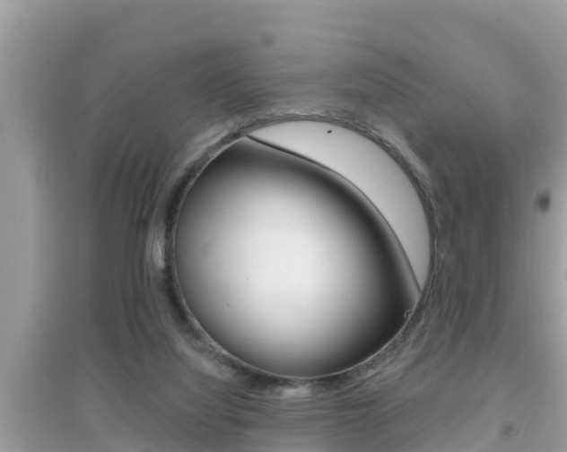 X0000095110068200712070929