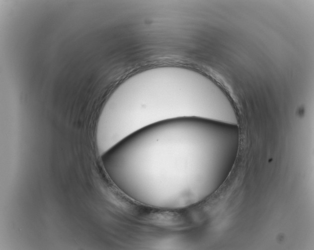 X0000095110069200712070929