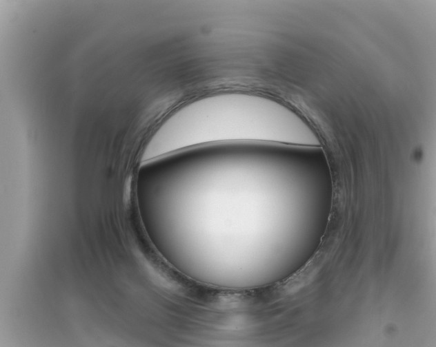 X0000095110070200712070929