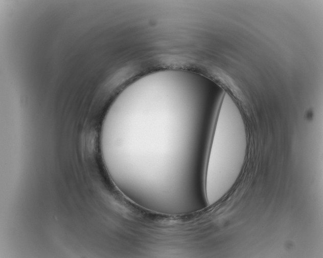 X0000095110071200712070929