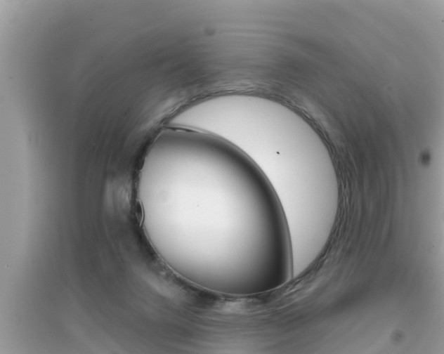 X0000095110072200712070929
