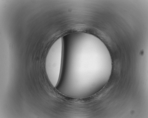 X0000095110073200712070929