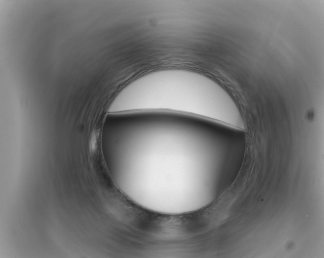 X0000095110075200712070929