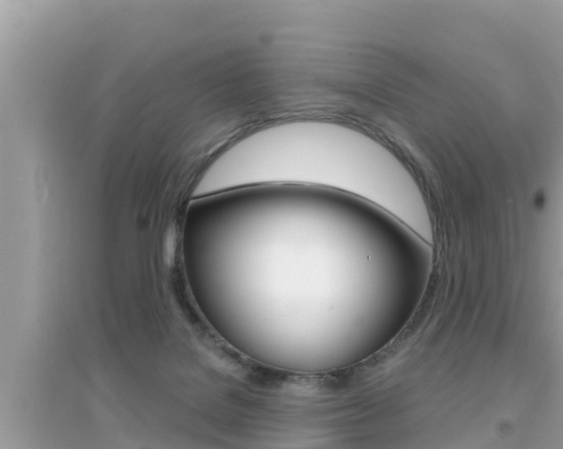 X0000095110076200712070929