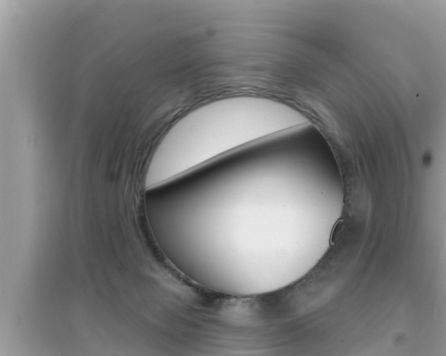 X0000095110077200712070929