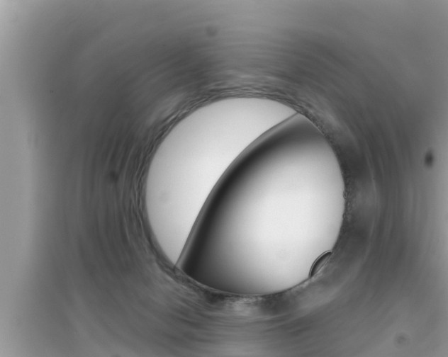 X0000095110078200712070929