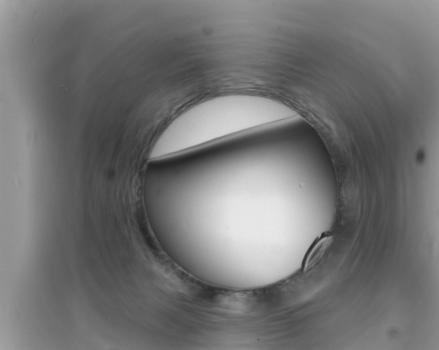 X0000095110079200712070929