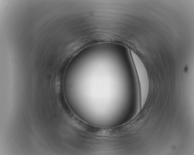 X0000095110080200712070929