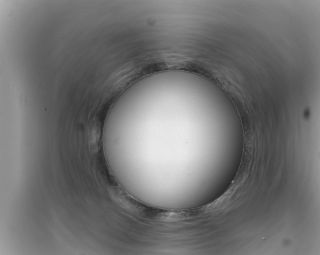 X0000095110082200712070929