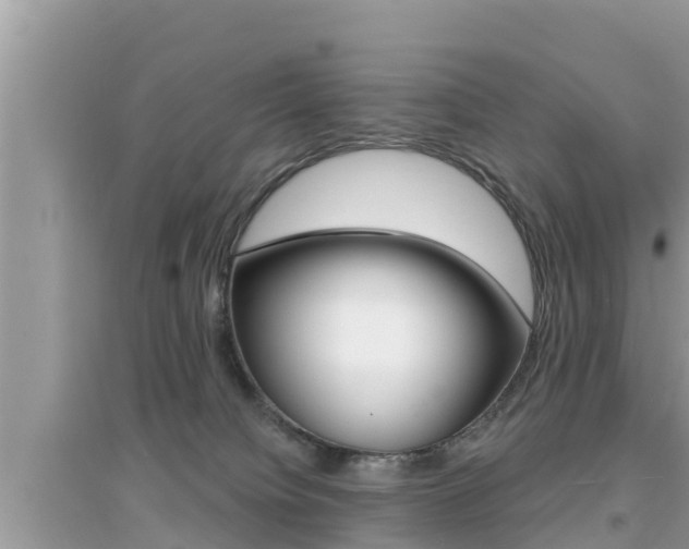 X0000095110084200712070929