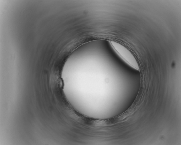 X0000095110085200712070929
