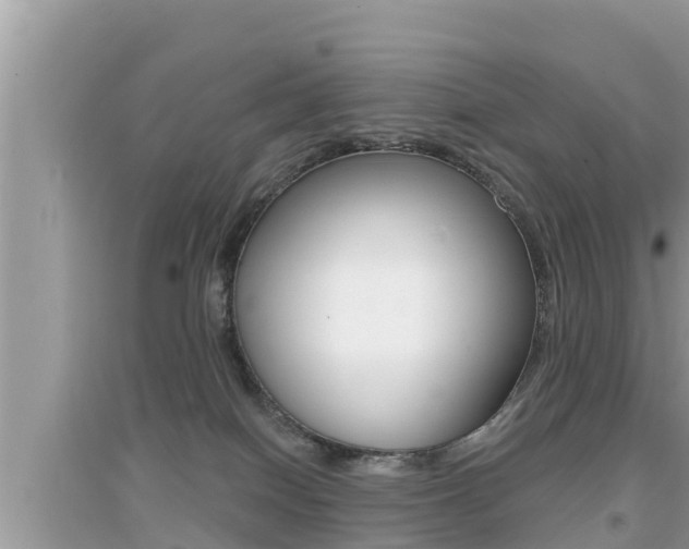X0000095110086200712070929