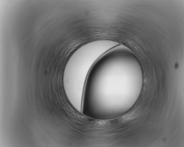 X0000095110096200712070929