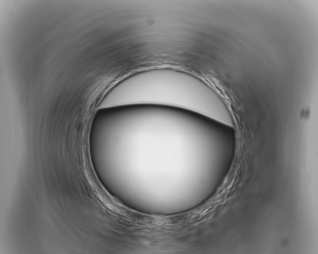 X0000095110097200712070929