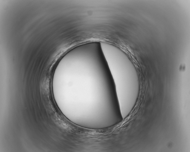 X0000095110098200712070929