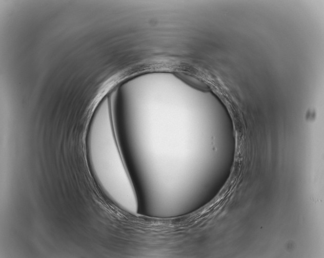X0000095110099200712070929