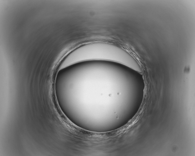 X0000095110101200712070929