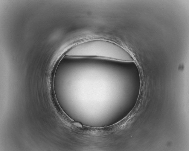 X0000095110103200712070928