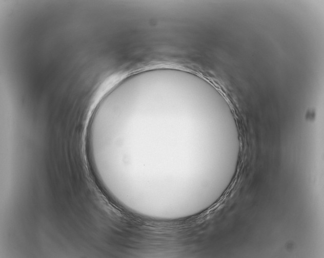 X0000095110104200712070928