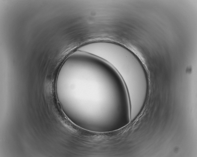 X0000095110105200712070928