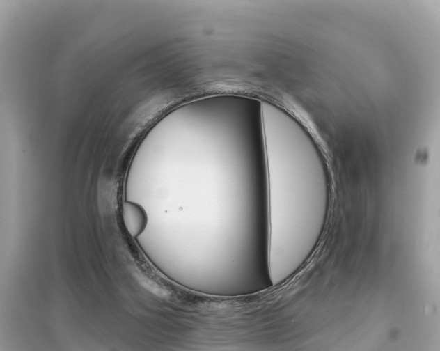 X0000095110106200712070928