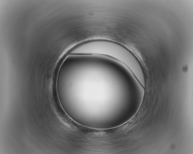 X0000095110108200712070928