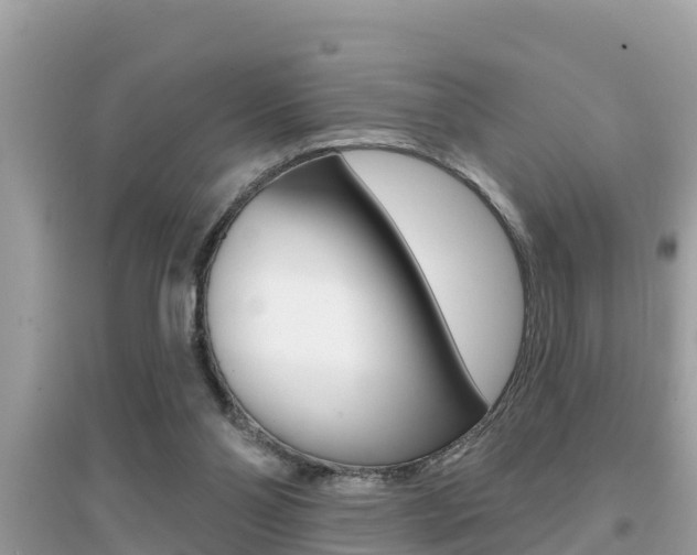 X0000095110110200712070928