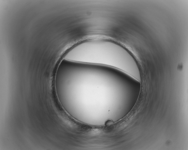 X0000095110111200712070928