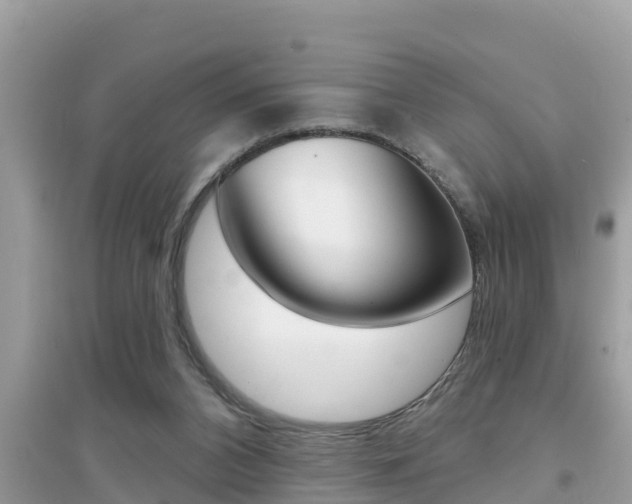 X0000095110112200712070928